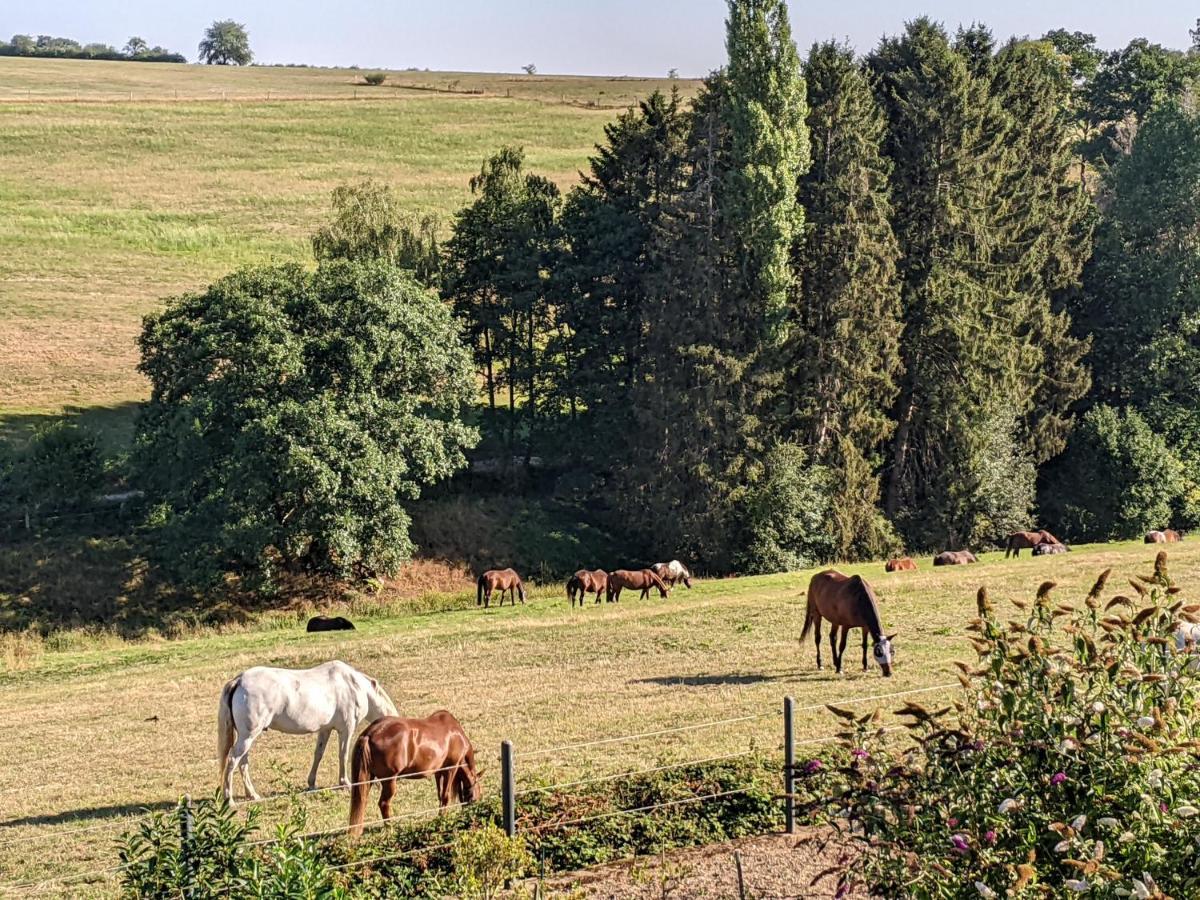 Eifel-Ferienhaus Landblick Hürtgenwald Εξωτερικό φωτογραφία